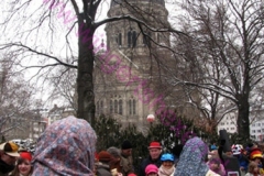 20100215_Rosenmontagsumzug_Mainz_078