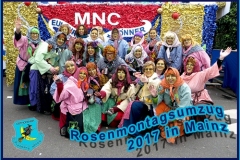 20170227_Titelbild_Rosenmontagsumzug_Mainz_Web